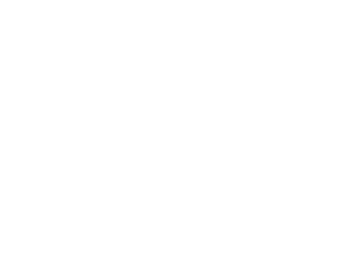 Sociedad Mexicana de Inteligencia Artificial (SMIA)